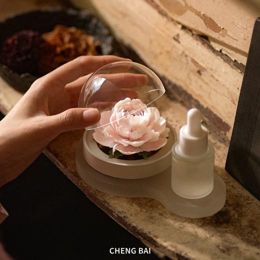 呈白 【芍药花】非遗瓷花香薰礼盒香氛礼物十二花神 商品图3