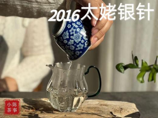 【准9年醇“酿”】2016太姥银针，深藏于岁月深处的那一抹绿雪芽！ 商品图10