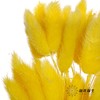 干花 | 兔尾草黄 商品缩略图1