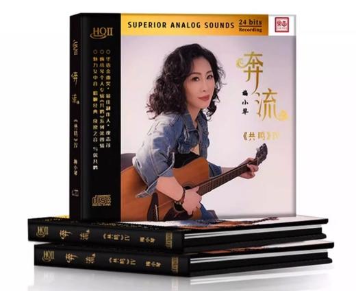 梅小琴 共鸣4 奔流 HQIICD高音质粤语发烧女声HQ2唱片 附限量编号 商品图2