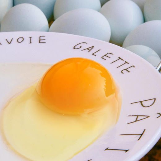 【宜昌助农馆】新鲜绿壳鸡蛋 营养丰富 商品图2