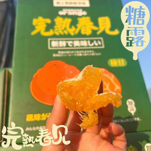 备受瞩目 完美推荐
炽蜜春见
不好吃，不要钱 商品图13