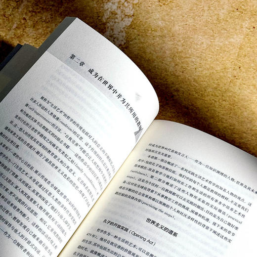 教师与世界 教师教育哲学译丛 王占魁 世界主义教育取向 商品图10