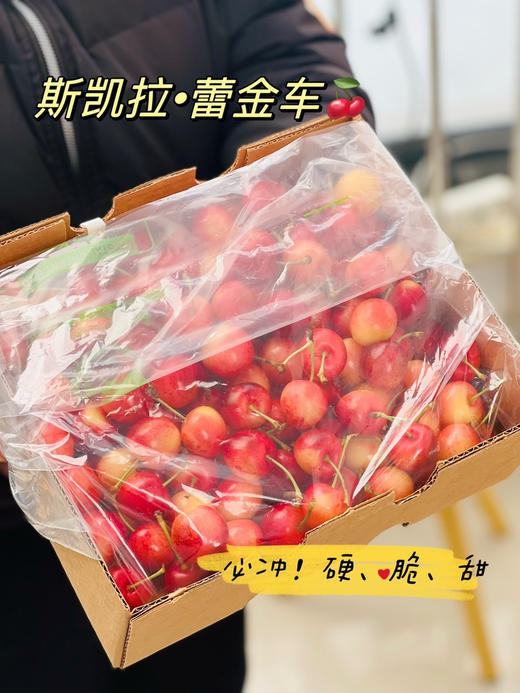 斯凯拉雷金车，真正的嘎嘣脆，浓郁 商品图0