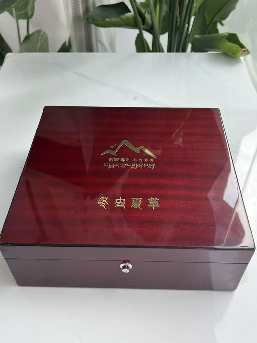 【虫草扎花礼盒】正宗西藏那曲冬虫夏草礼盒装 商品图1