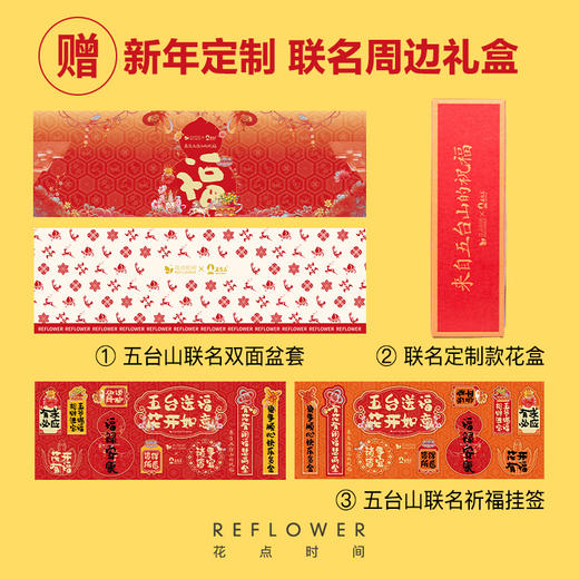 2025年宵花·五台山联名四季桔盆栽 ｜新客福利 商品图1