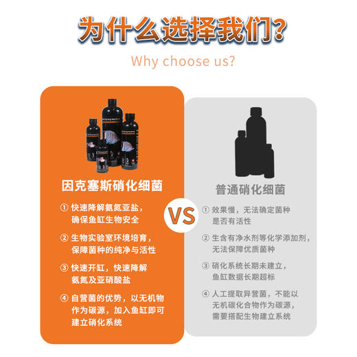 因克塞斯 Ecsenius 高浓缩硝化细菌 （自营菌） 商品图3