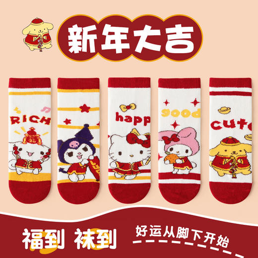 【29.9/5双】儿童袜子秋冬红色新年袜男童女童袜子卡通宝宝袜子蛇年中筒袜M 商品图0