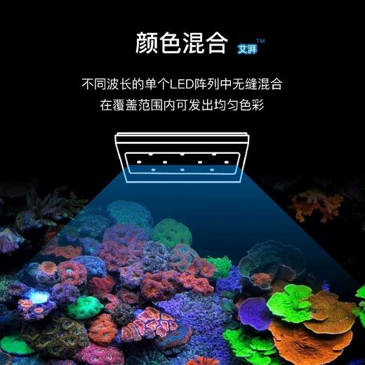 艾湃A8S珊瑚灯A+智控A8se全光谱海水灯海缸LED灯SPS珊瑚灯A8Pro灯 商品图9