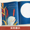 【青葫芦】兔哇（精装硬壳）国际大奖作者联袂创作 鼓励孩子接纳自己的不完美，尊重别人的不一样 商品缩略图4