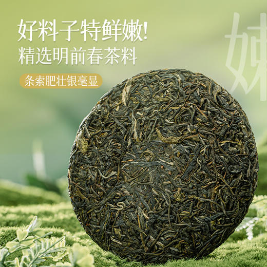 澜沧古茶2024年景迈之春普洱茶生茶小饼200g 商品图2