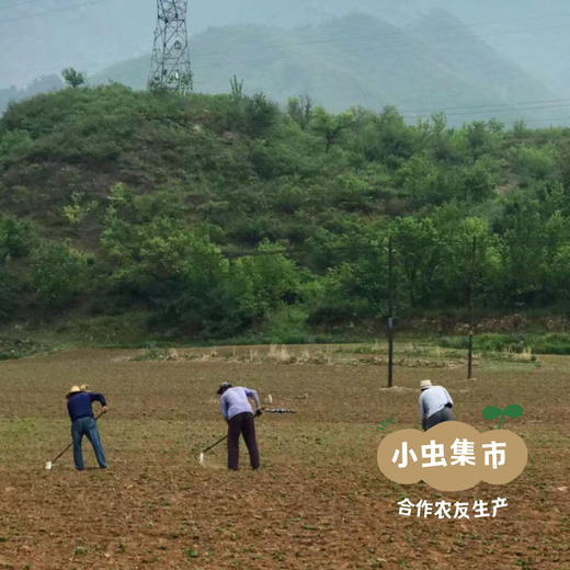 有机黄豆豆干 150g/袋 | 合作农友生产，来自河北承德，生产者：姚计峰 *【公平贸易农人定价】 商品图13