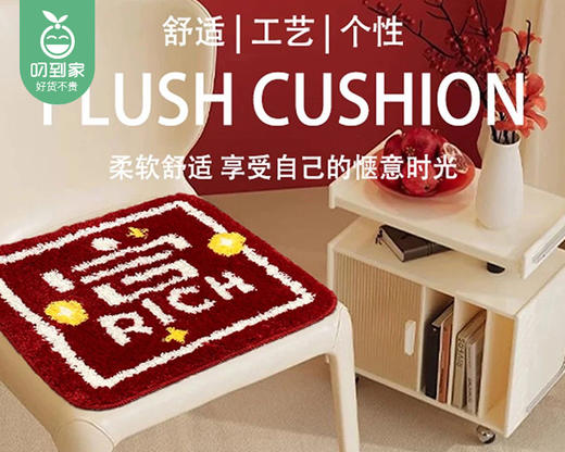 ins风创意植绒坐垫（富）/1个（约40*40cm）补单专用 商品图1