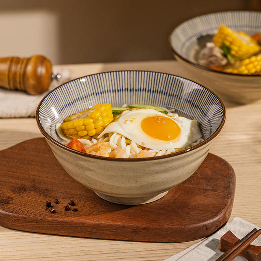 摩登主妇陶瓷拉面碗家用2024新款餐具汤面碗大碗汤碗吃泡面碗面碗 商品图2