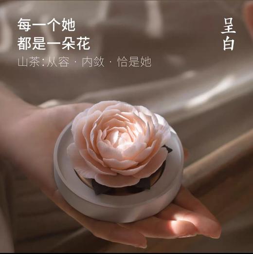 呈白 【山茶花】非遗瓷花香薰礼盒香氛礼物 商品图2
