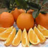 江西赣南脐橙 4.5-5斤超大果（90-100mm） 240-350g/个 商品缩略图2
