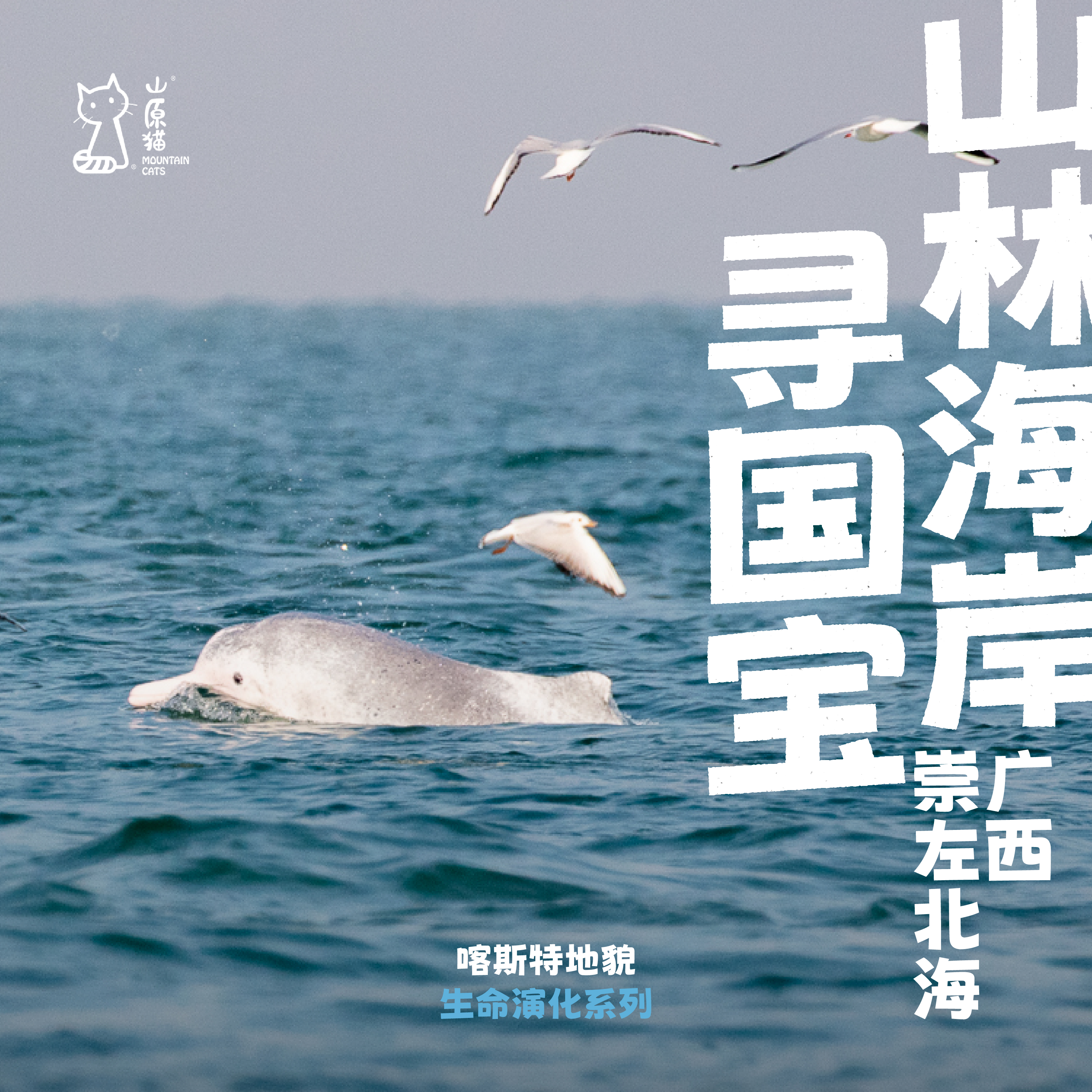 「寒假2.3-2.7」山林海岸寻国宝 · 广西旗舰物种探秘之旅