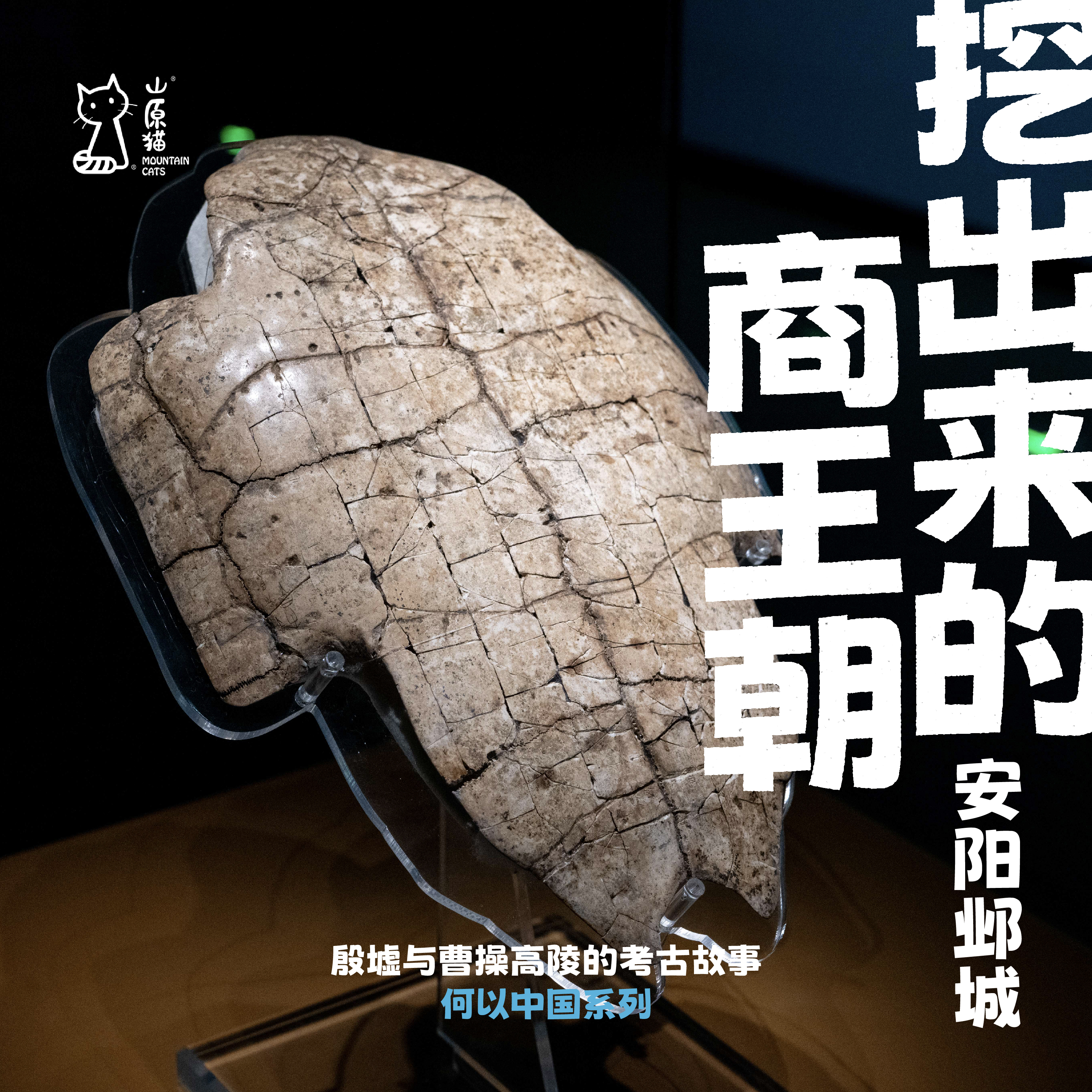 「元旦1.1-1.3」挖出来的商王朝·安阳与邺城历史考古行