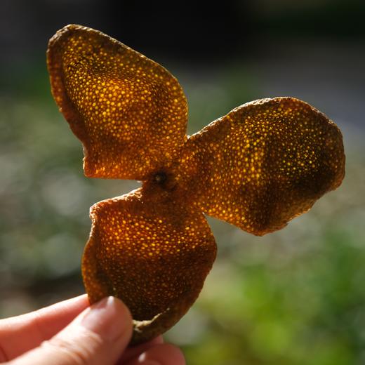 【25年陈皮】正宗新会陈皮/三江/天马/2025驳枝二红皮/自囤自喝 商品图0