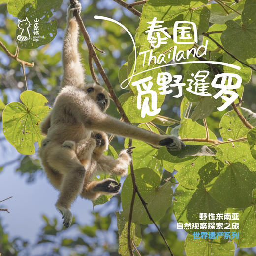 「仅余两家 · 寒假2.8-2.14」觅野暹罗 · 泰国自然观察探索之旅 商品图0