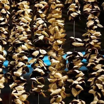 丨生态丨陈皮花生 带壳花生+陈皮组合  精选福建龙岩精品花生 正耕诚品 商品图7