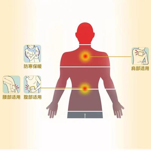 小林暖宝宝即贴10片装 商品图11