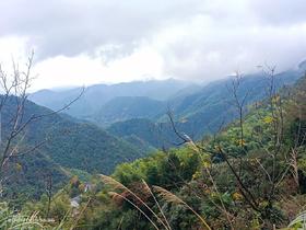  淙淙盈科水，翏翏红叶风 | 建德基地家园建设纪实【三】 