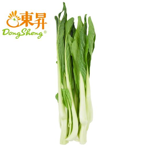 东升农场 有机迟菜心 菜苔 爽脆清甜 有机蔬菜 广东配送 300g 商品图0
