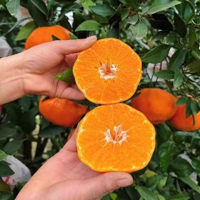 【甘平柑橘】顺丰到家 柑橘类的天花板 酸甜无渣 个大饱满 汁水丰盈 醇香浓郁 果肉粒粒分明 入口爆汁 4种规格任选