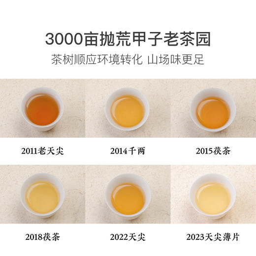 玩家级安化黑茶合集 商品图2
