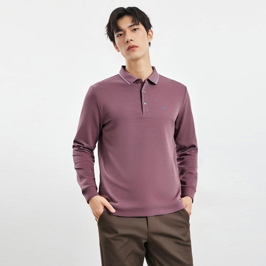 【精美刺绣 棉混纺】罗蒙春秋男装长袖POLO衫男士商务休闲打底翻领T恤男长袖 商品图4