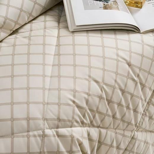 【6楼】富安娜舒柔羊毛冬厚被/格赛菲  咖啡色，零售价1980/2180元，活动价439/499元 商品图2