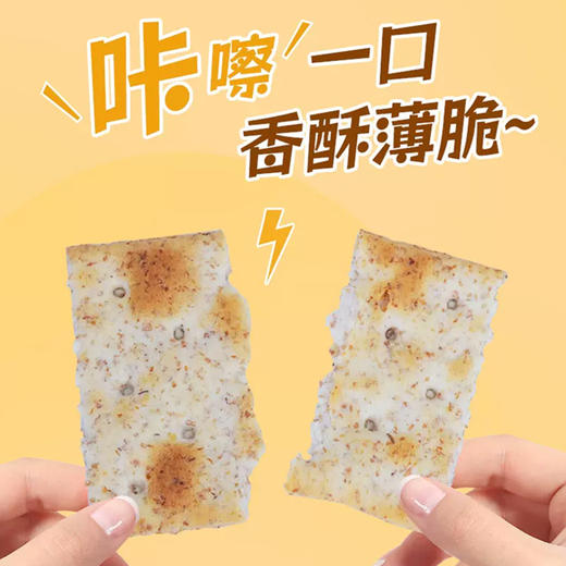 意大利进口可意奇-全麦|咸味|原味梳打饼干250g 商品图1