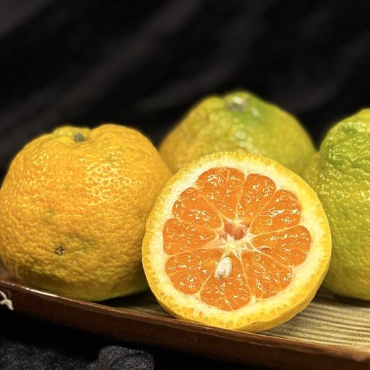 温州特产瓯柑 风味独特 多汁清甜 初尝时味微苦 温州同城配送，超区快递发货 商品图1