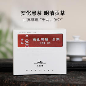 玩家级安化黑茶合集