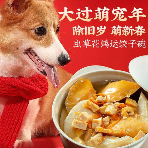 尾巴先生宠物饺子鸡肉磨牙小型犬大型犬泰迪金毛新年年货狗狗零食 商品图3