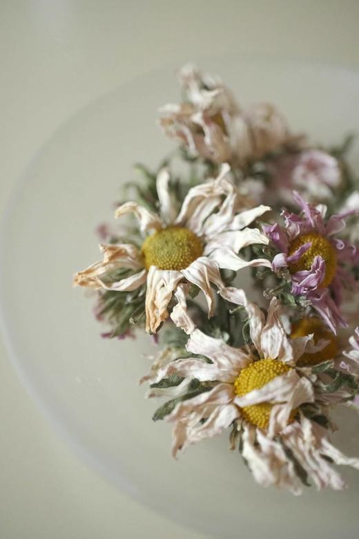 淳安千岛湖-高山紫菊菊花茶30g 商品图1