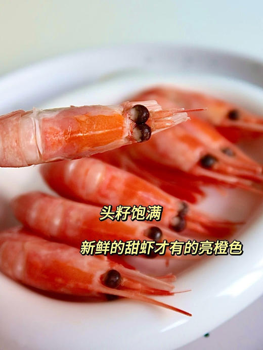 天花板品质｜加拿大北极甜虾（国王，头籽90%以上） 商品图2