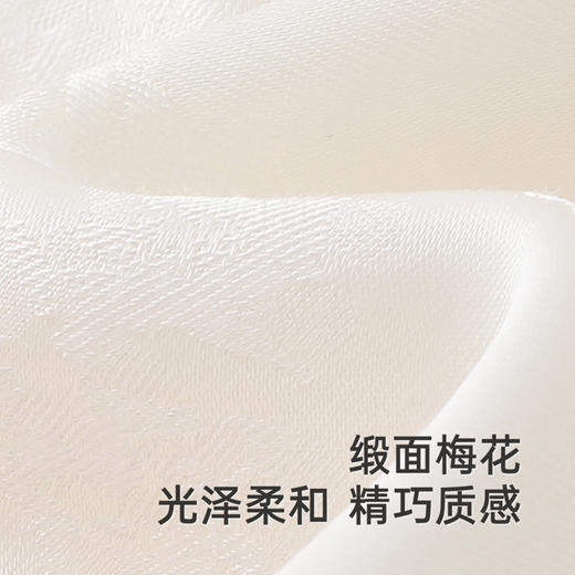 【商场同款】英氏女童连衣裙长袖国风2025春新款新中式中大童裙子 商品图1