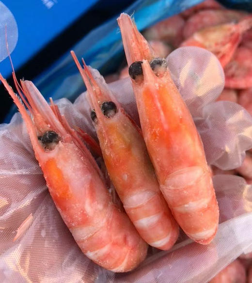 天花板品质｜加拿大北极甜虾（国王，头籽90%以上） 商品图1