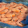 天花板品质｜加拿大北极甜虾（国王，头籽90%以上） 商品缩略图6