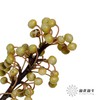 叶材 | 山胡椒 商品缩略图0