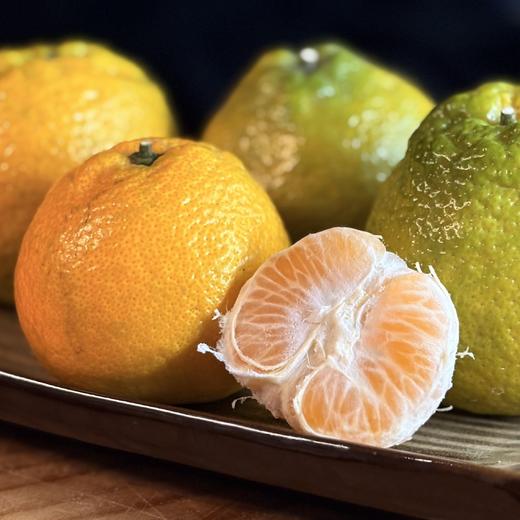 温州特产瓯柑 风味独特 多汁清甜 初尝时味微苦 温州同城配送，超区快递发货 商品图2