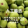威海青皮无花果饼，风干果干，冻干果干，无花果切片 商品缩略图11