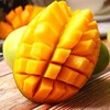 【树上熟贵妃芒】顺丰到家 皮薄肉厚 果香四溢 汁水充足 口感爽滑 果肉香甜细腻 2种规格任选 商品缩略图0