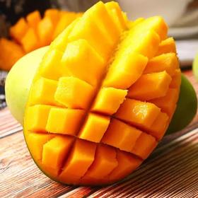 【树上熟贵妃芒】顺丰到家 皮薄肉厚 果香四溢 汁水充足 口感爽滑 果肉香甜细腻 2种规格任选