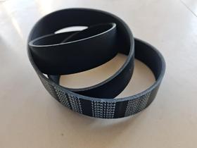 特别特12pk1504 潍柴WP15天然气560马力风扇带（121504）