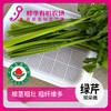年卡-绿芹300g 商品缩略图0