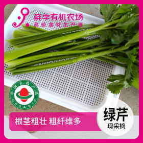 绿芹 300g