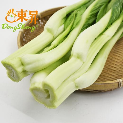 东升农场 有机迟菜心 菜苔 爽脆清甜 有机蔬菜 广东配送 300g 商品图2